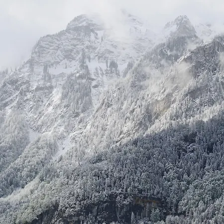 ロッジ エーデルワイス *
