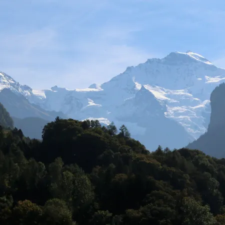 エーデルワイス * ヴィルダースヴィル