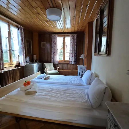 Edelweiss * Wilderswil