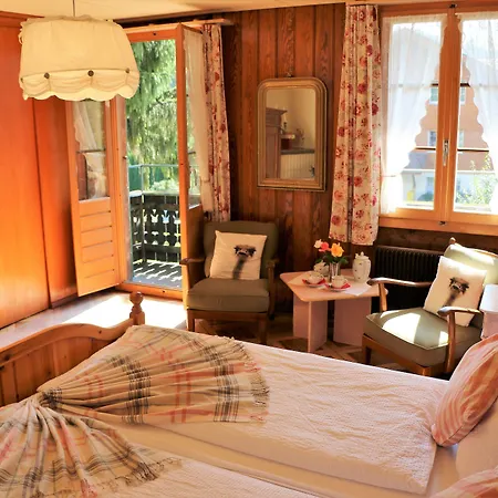 Edelweiss Lodge Wilderswil