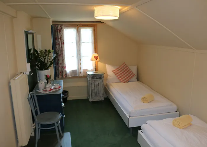 山林小屋 雪绒花山林小屋 *