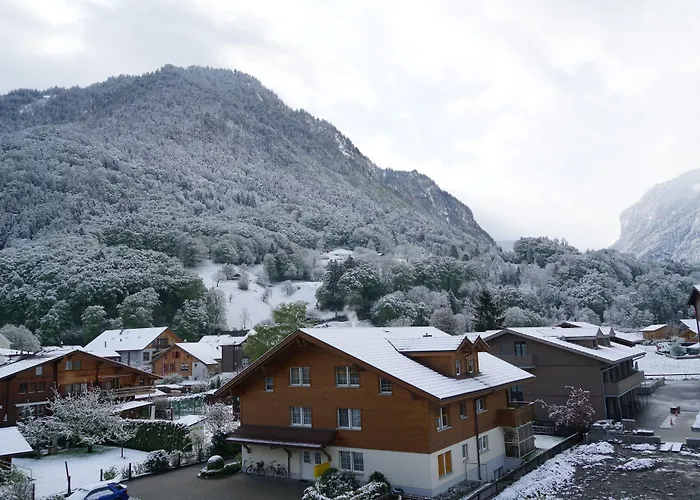 山林小屋 雪绒花山林小屋