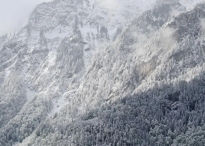 山林小屋 雪绒花山林小屋 *