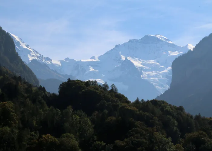 Edelweiss * Wilderswil