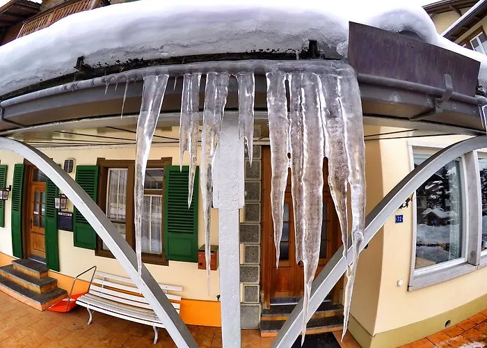 山林小屋 雪绒花山林小屋 *