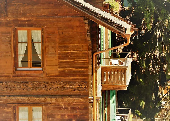 雪绒花山林小屋 维尔德斯韦尔