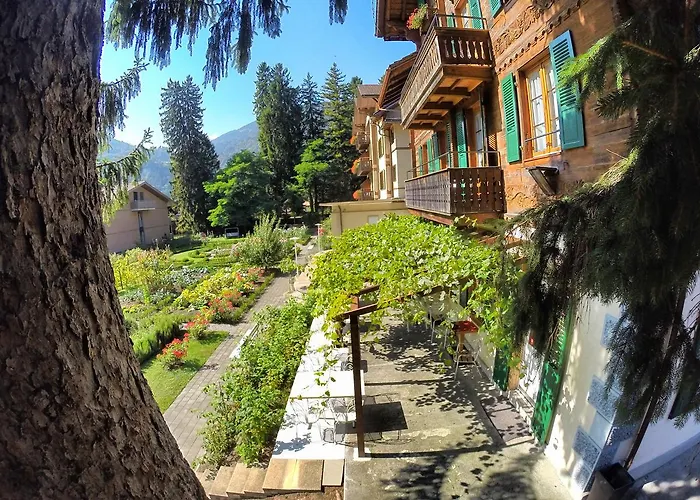 山林小屋 雪绒花山林小屋 *