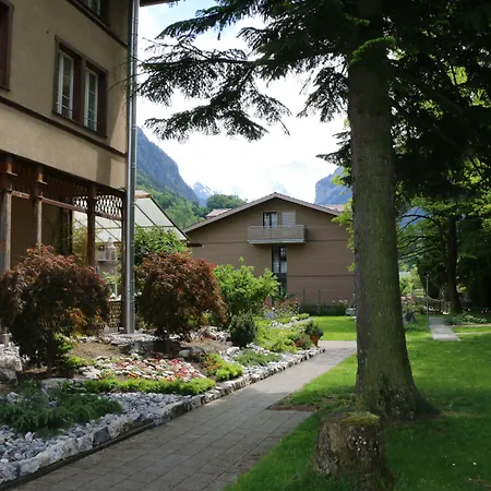 Edelweiss Wilderswil