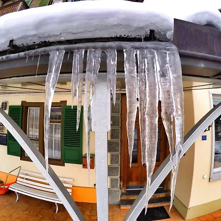 山林小屋 雪绒花山林小屋 *