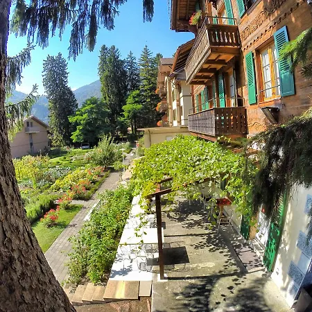 山林小屋 雪绒花山林小屋 *