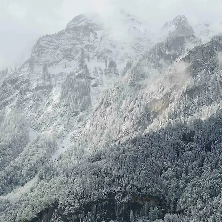 雪绒花山林小屋 山林小屋