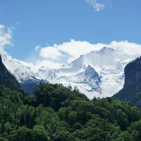 雪绒花山林小屋 山林小屋 *